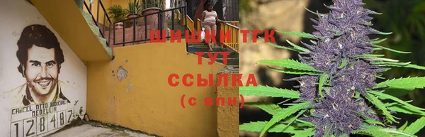 ПСИЛОЦИБИНОВЫЕ ГРИБЫ Алексеевка